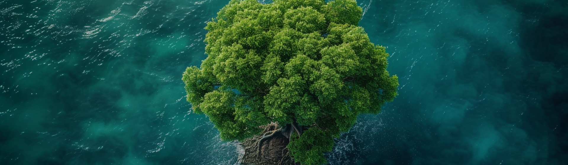 Ningbo Aikang aluminiumsfolie Technology Co., Ltd.